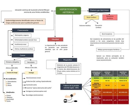 Hipertensi N Arterial Mapa Conceptual Maria Claudia Ato Mi An Udocz