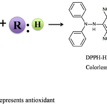 Reaction Mechanism Of 2 2 Diphenyl 1 Picrylhydrazyl DPPH With