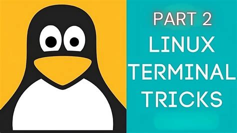 20 Linux Commands That Every Computer Science Engineer Must Know