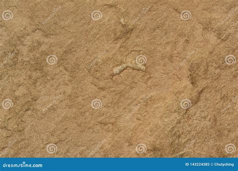 Grunge Natural Brown Stone Texture Background Stock Image Image Of