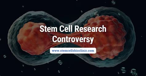 Stem Cell Research Controversy Is It Reliable Treatment