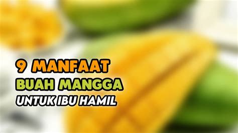 Manfaat Buah Mangga Untuk Ibu Hamil Youtube