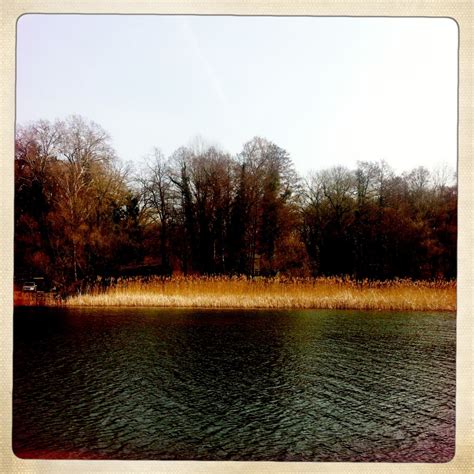 Brandenburg Buckow Schermützelsee Bootsausflug Ufer