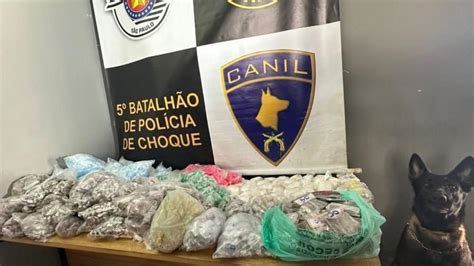 Cão Policial Ajuda A Apreender 127 Mil Porções De Drogas Em São Paulo