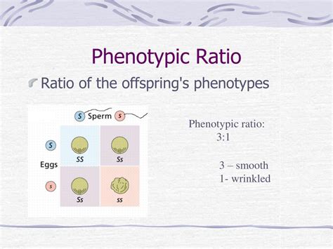 PPT Chapter 9 Introduction To Genetics PowerPoint Presentation