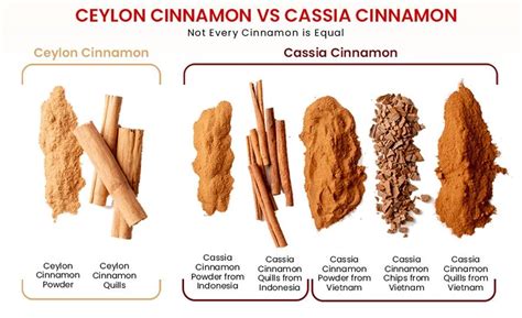 Ceylon Cinnamon vs. Cassia: Unravelling the "Spicy" Saga