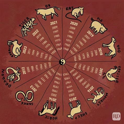 The 12 Chinese Zodiac Signs Explained 2024 | Reader's Digest