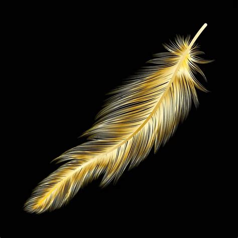 100,000 Golden eagle feathers Vector Images | Depositphotos