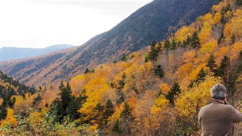 Here’s a fall foliage map for all your New England leaf peeping adventures