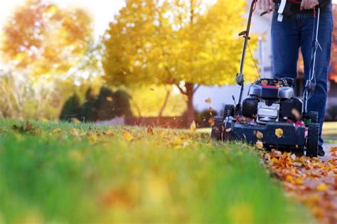 Comment Tondre Son Gazon En Automne Encd