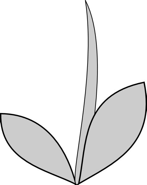 Flowering Stems Clipart 20 Free Cliparts Download Images On