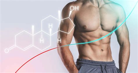 Pillole Di Sapere Cos Il Testosterone E Cosa Fare Con Livelli Alterati