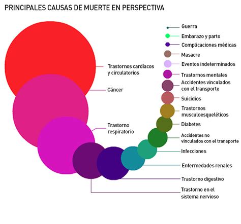 Estas Son Las Principales Causas De Muerte En El Mundo Blog Ortopedia Hot Sex Picture