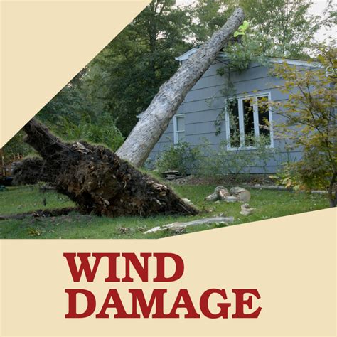 Windstorm Damage Claim In 2024