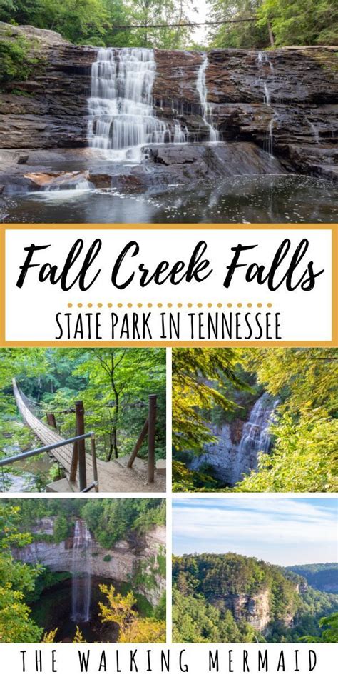 Guide To Fall Creek Falls State Park Tennessee Artofit