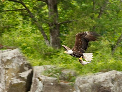 Taylors Falls Scenic Boat Tours | Explore Minnesota