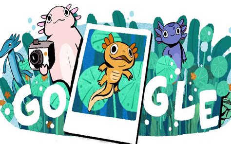 Google Homenajea Al Ajolote Del Lago De Xochimilco Con Un Doodle