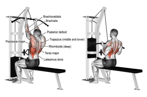 Close Grip Lat Pulldown: The Complete Guide [2021 Edition]