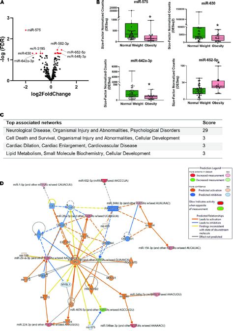 Differentially Expressed Mirnas In Bevs Of Mothers With Obesity A