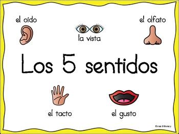 Los 5 Sentidos The 5 Senses By Viva Biliteracy TPT