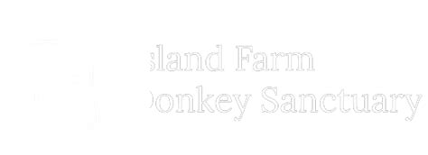 Table Top and Jumble Sale, 23rd November 2024 - Island Farm Donkey ...