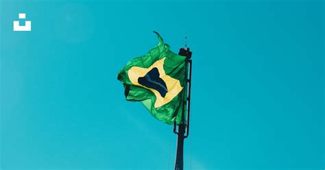 Bandeira Verde E Branco - 5
