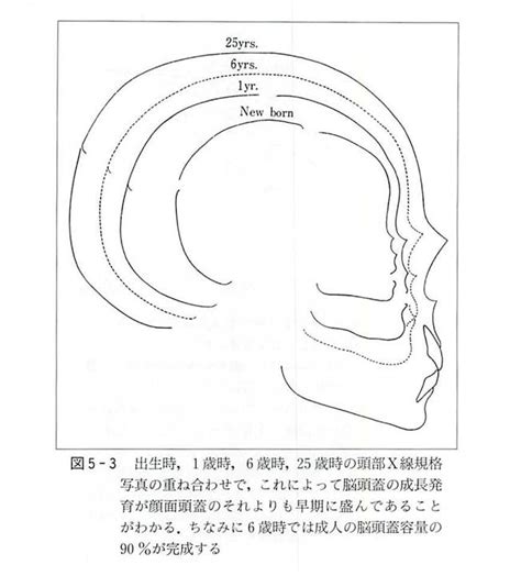 【超特価sale開催！】 顔面成長発育の基礎 Asakusasubjp