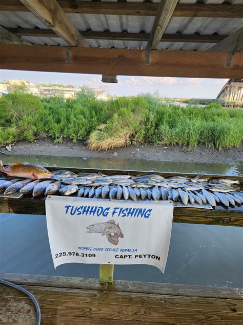 Magic Spot Fishing... - Magic Spot Fishing Guide Service