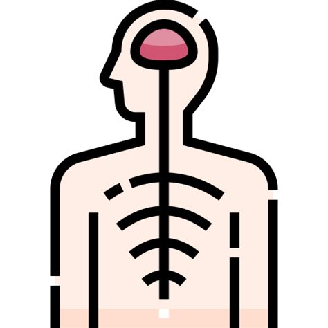 Nervous System Free Medical Icons