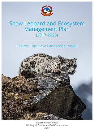 Nepal leads the way in snow leopard conservation in global summit | WWF