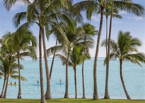 Top 15 Things to Do in Fiji in 2025 - Outoria