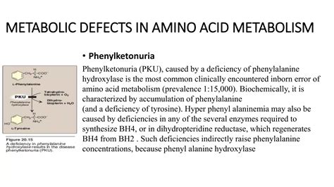 Glucogenic And Ketogenic Amino Acids Lec Ppt