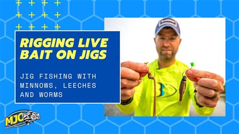 Live Bait Rigging Jig Fishing With Minnows Leeches And Worms YouTube