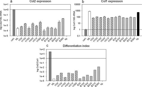 Real Time Pcr Analysis Of Col2 And Col1 Expression In Native Cartilage Download Scientific