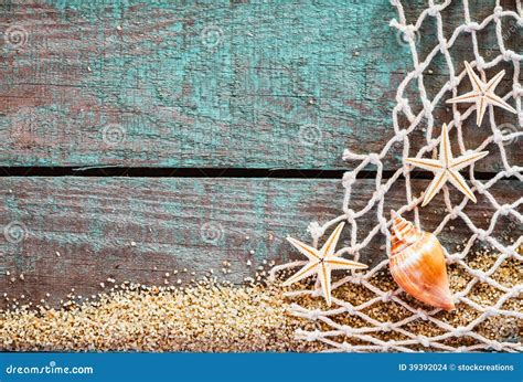 rustic marine background  copyspace stock photo image  mollusk