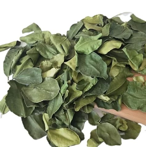 Каффир лайм листья (KAFFIR LIME SUN DRIED LEAVES) - Панда. Продукты из ...