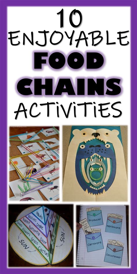 10 Enjoyable Food Chains Activities and Resources | Food chain ...