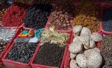 QIANG LIFE AND CULTURE | Facts and Details