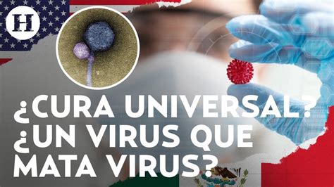 Infecta a los humanos Científicos de EU descubren virus vampiro en