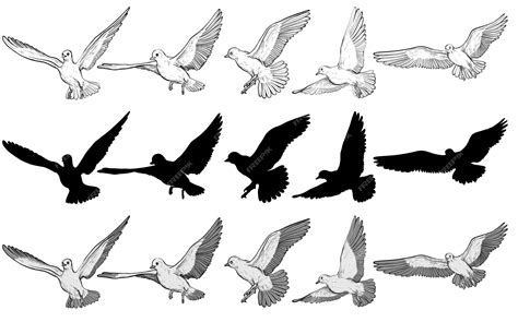 Premium Vector Flying Pigeons Vector Illustration Set