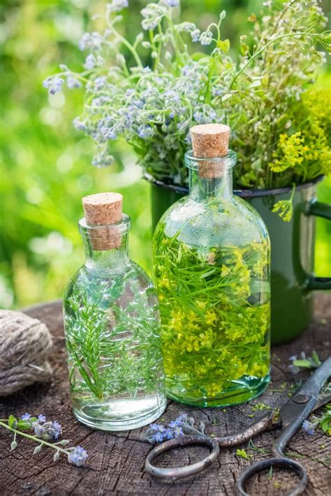 Botellas Y Frascos De Tinte O De Infusión De Hierbas Curativas De La Ortiga Y De Hierbas