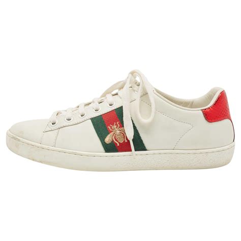 Gucci White Leather Ace Web Low Top Sneakers Size 36 For Sale At 1stDibs