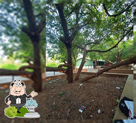 St John College Palghar