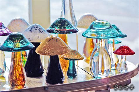 Glass Mushrooms By Bfgl On Deviantart