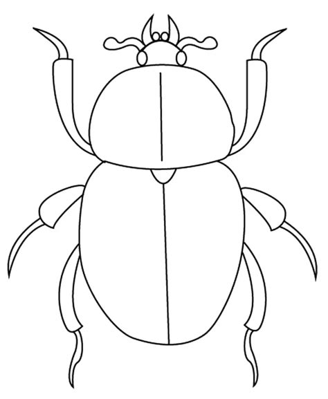 Colorado Beetle