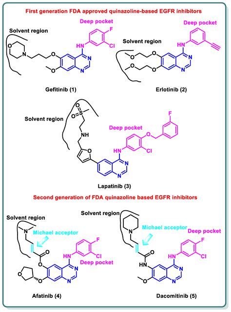 Recent Advances in Structural Optimization of Quinazoline-Based Protein