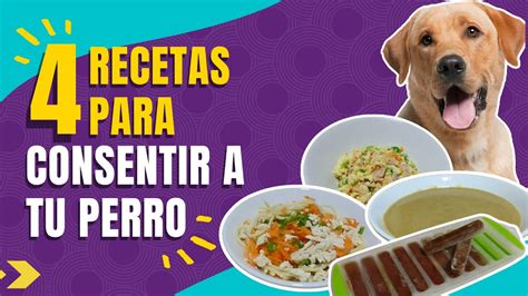 Introducir 102 Imagen Recetas De Comida Para Perros Abzlocal Mx