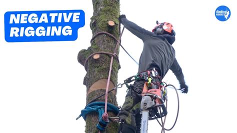 How To Rig Sections Of Trunk Onto Itself Arborist Rigging Techniques