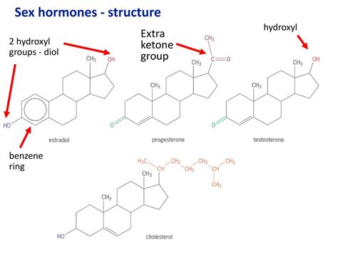 Option B Biochemistry Ib Chemistry Higher Level Ppt Download