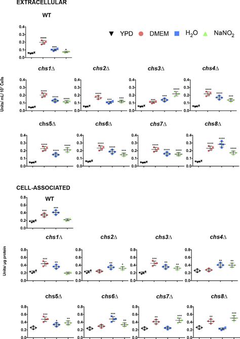 Extracellular And Cell Associated Chitinase Activities In Wild Type Download Scientific Diagram